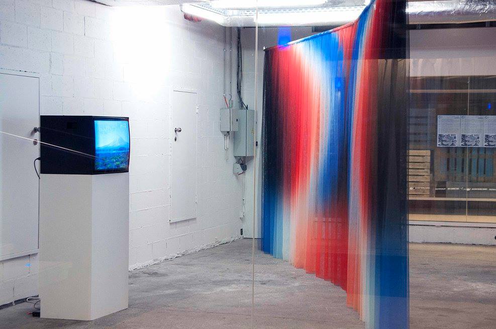 JUSTIN MORIN @ C5 Gallery, Brussels