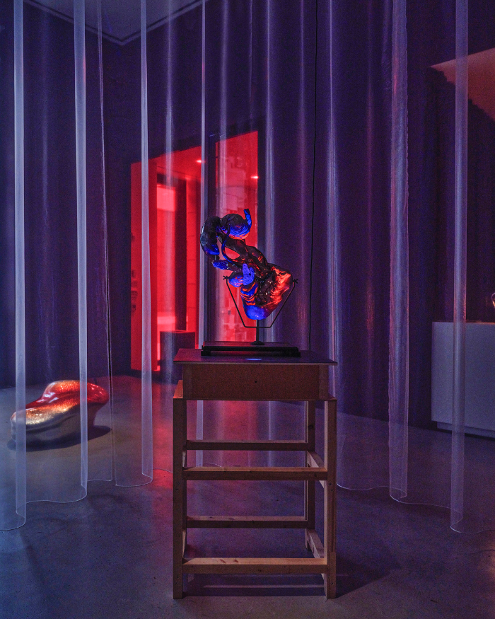 PIPILOTTI RIST X HAUSER & WIRTH