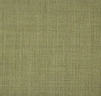 Pampas col.008 Olive Close-up / Select colour for