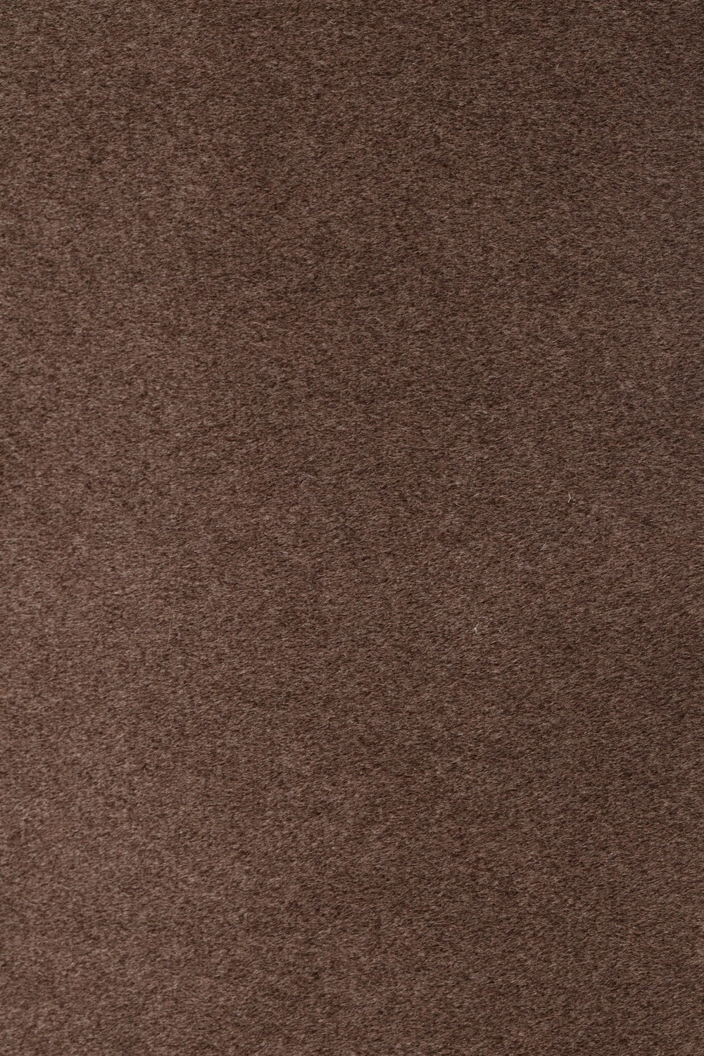 Figaro