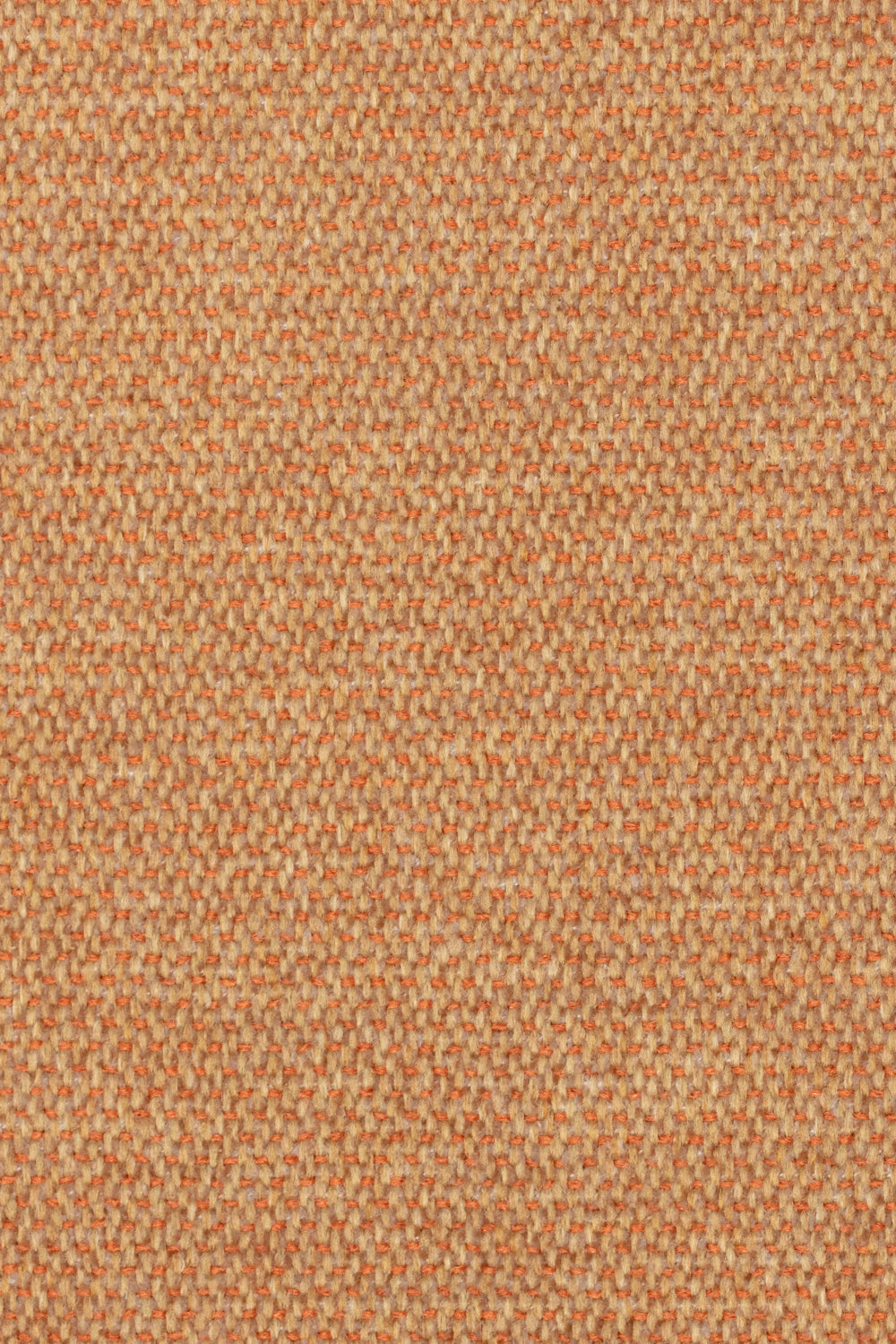 Knitty