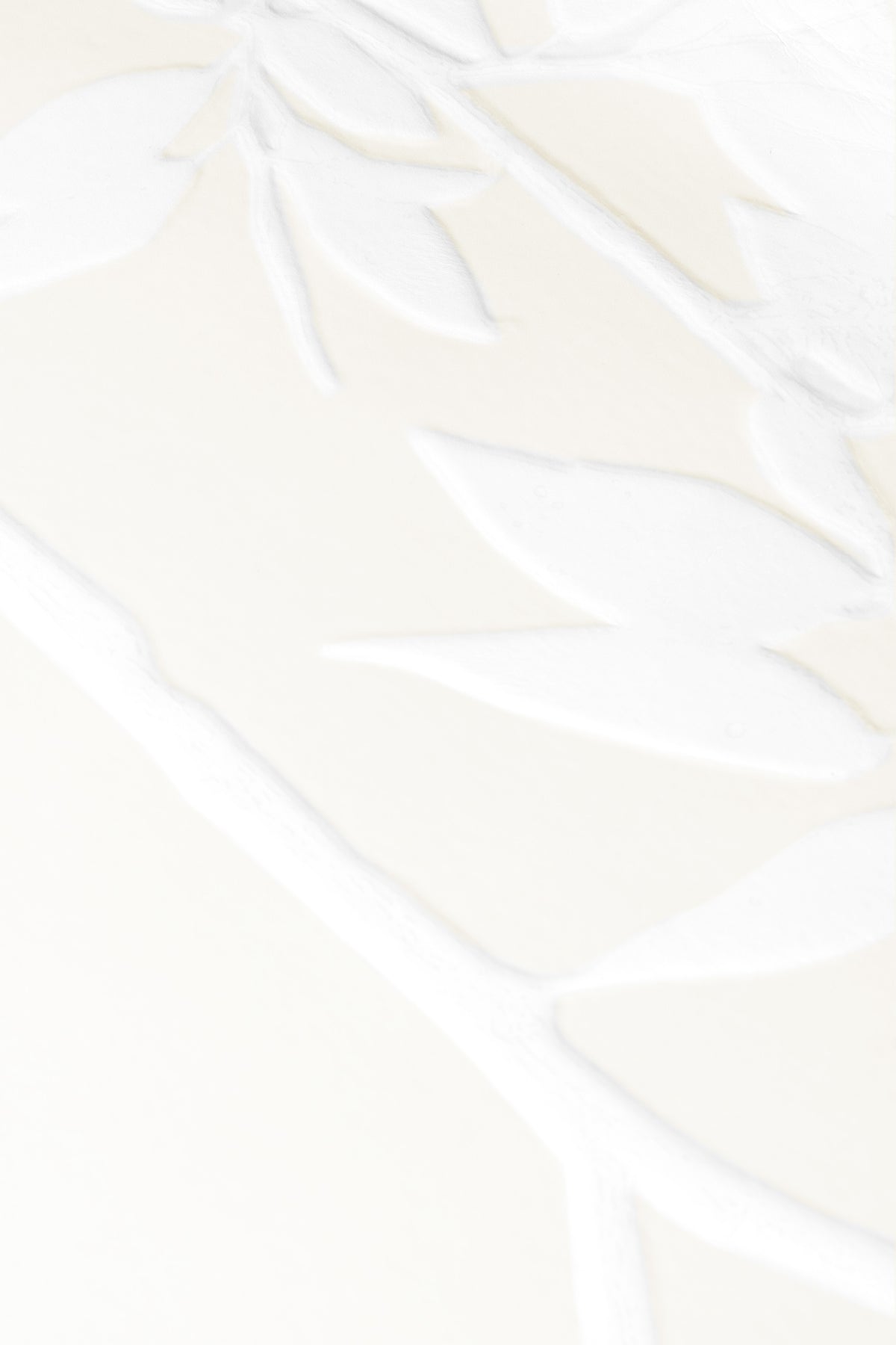 Herbarium XXL