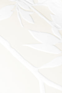 Col.001 Ivory