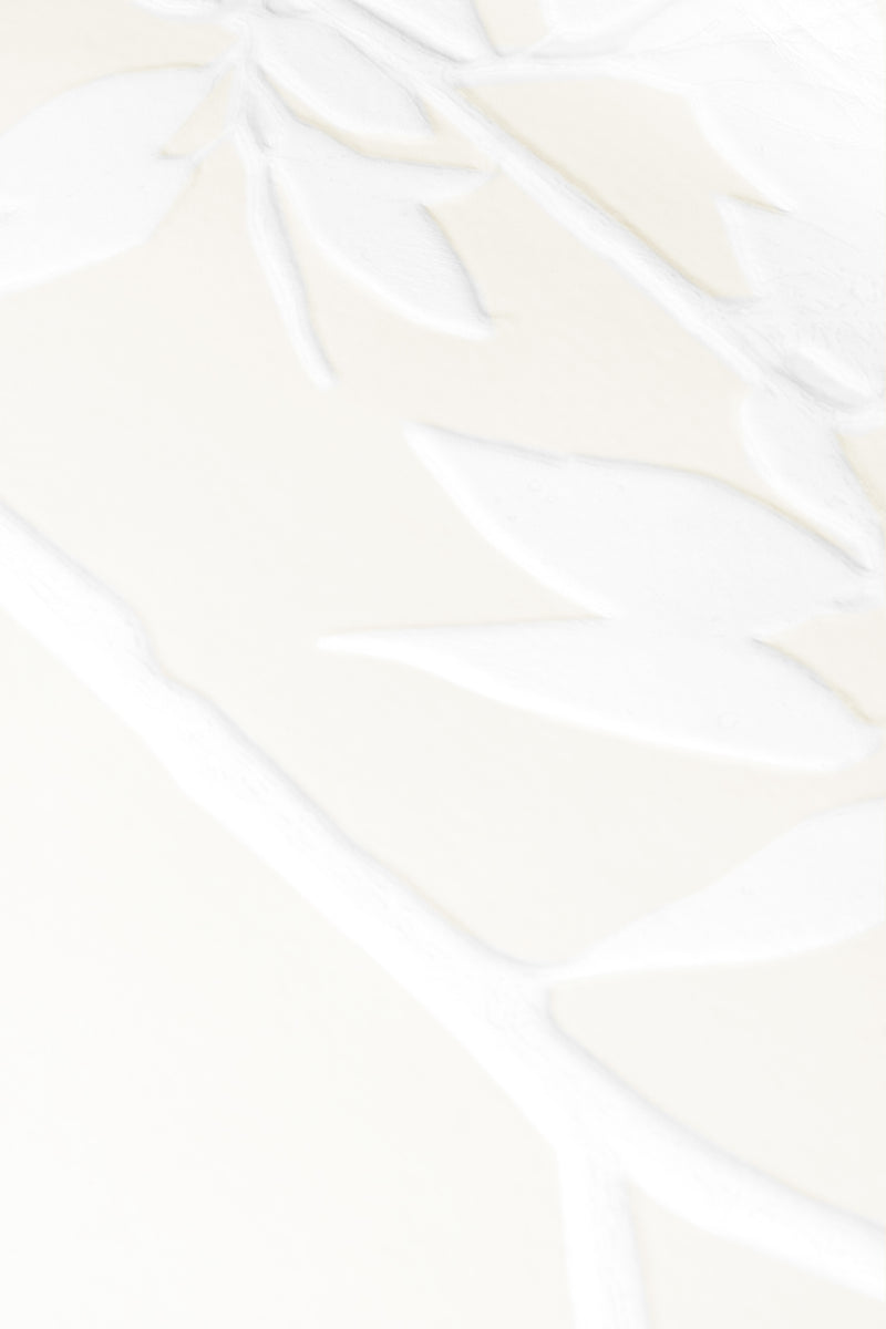 Herbarium XXL