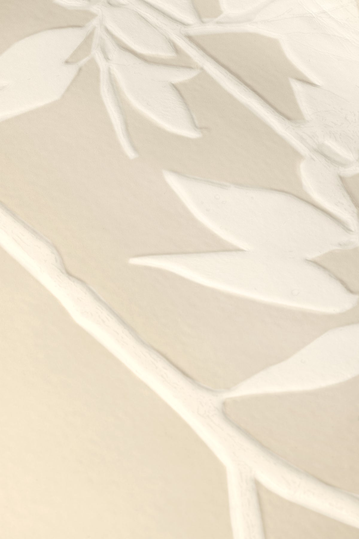 Herbarium XXL