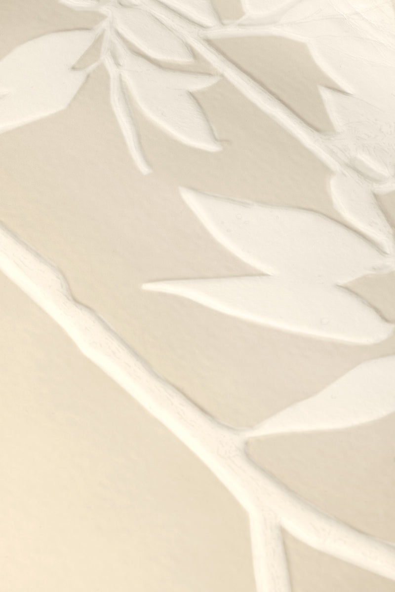 Herbarium XXL