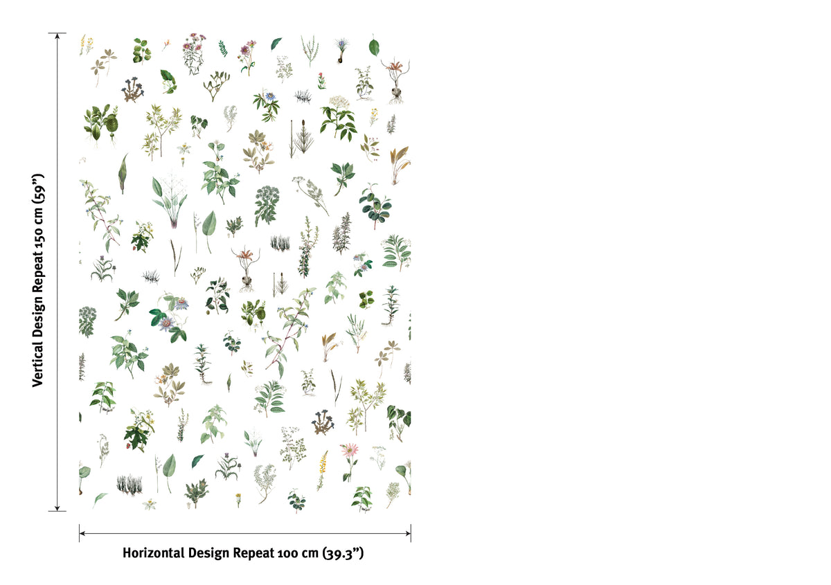 Georgette - Herbarium XS