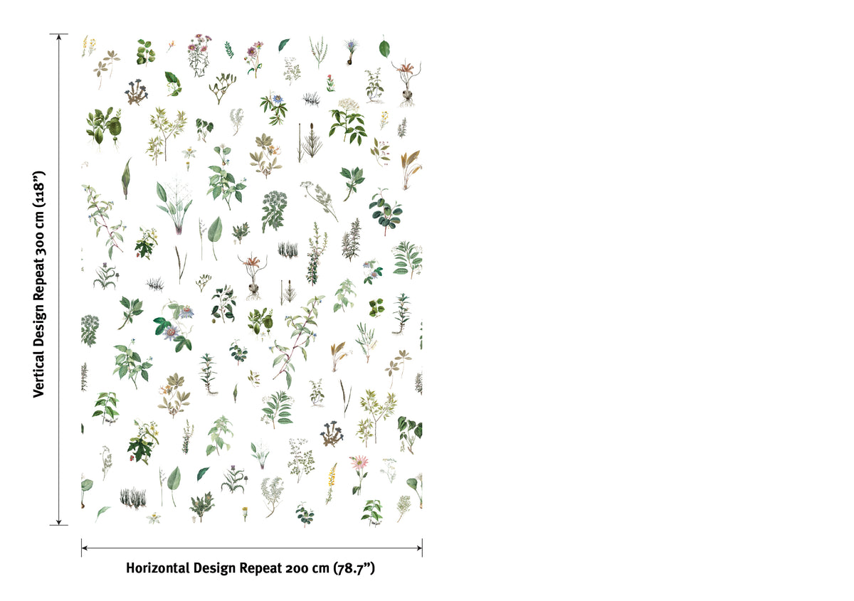 Georgette - Herbarium XL