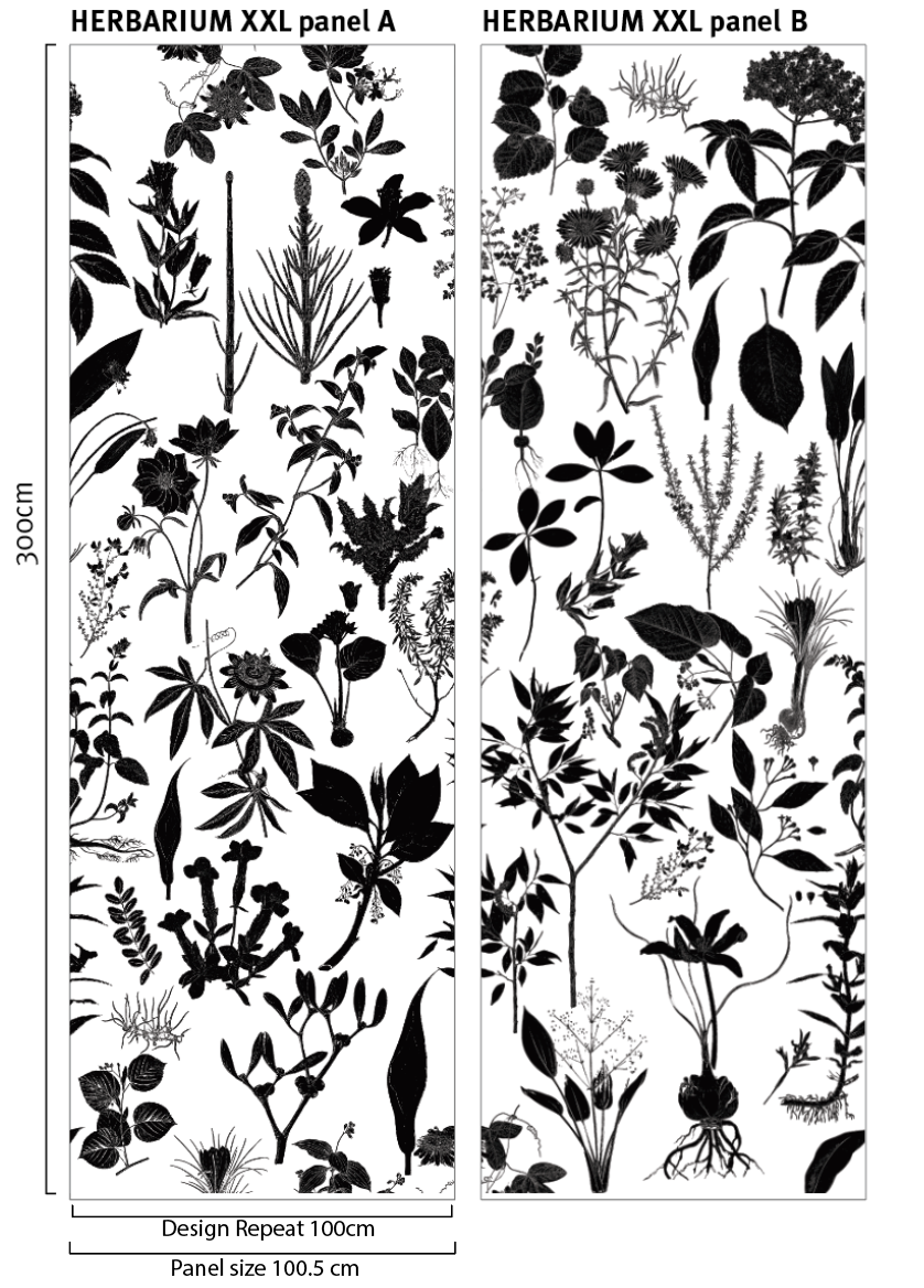 Herbarium XXL