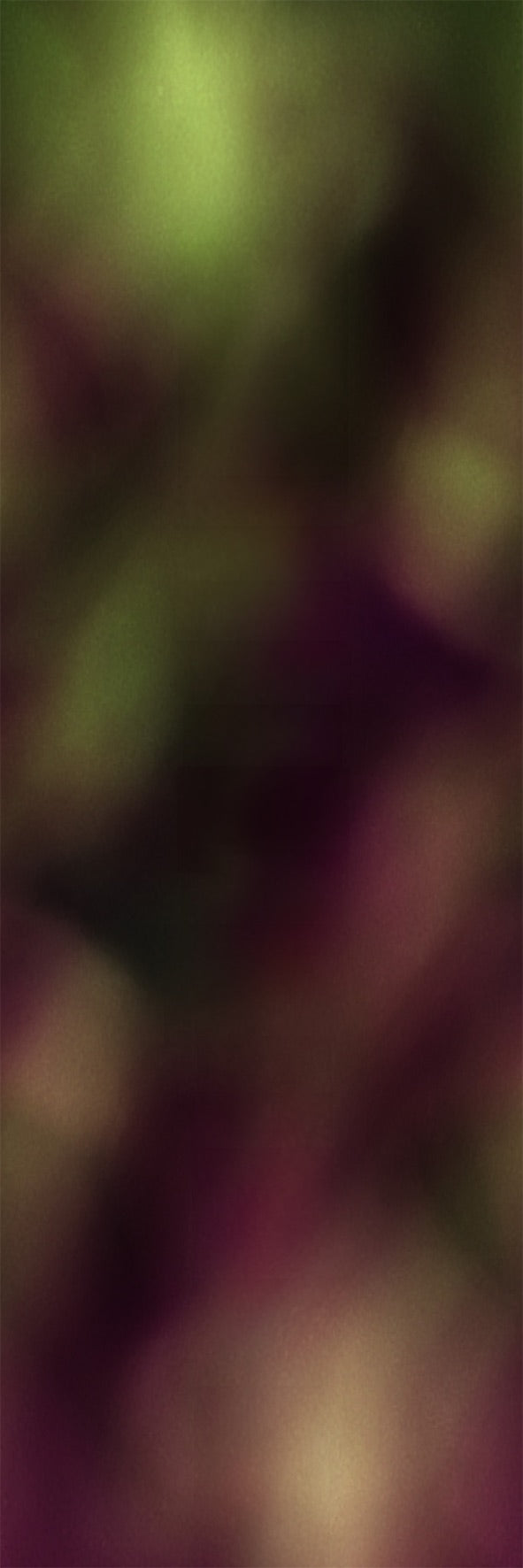 Summer Lawn
