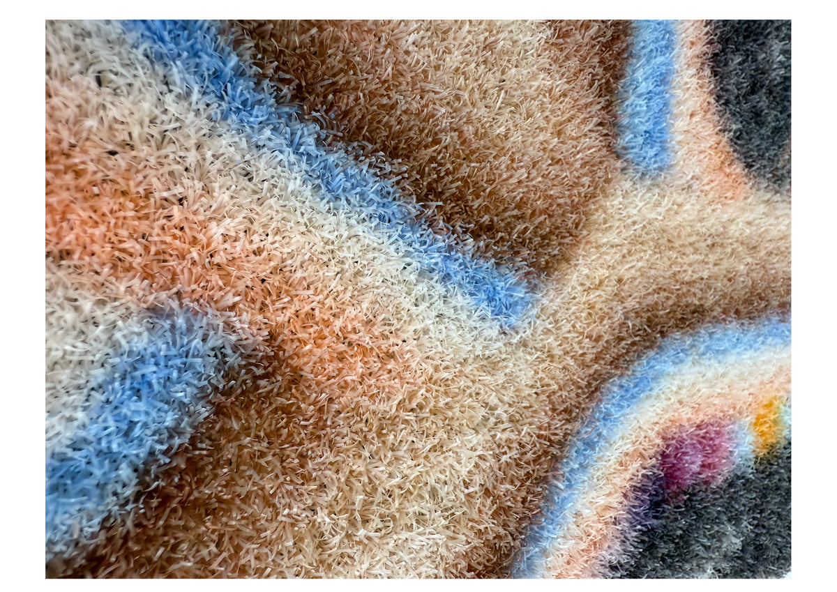 Custom Printed Carpet