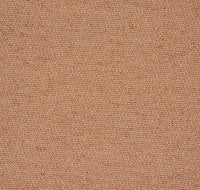 Col.011 Camel
