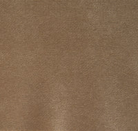 Robin Hood Close-up col. 005 Cork