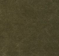 Robin Hood Close-up col. 009 Olive
