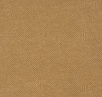 Robin Hood Close-up col. 011 Hazel