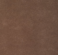Robin Hood Close-up col. 014 Camel