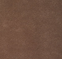 Col.014 Camel
