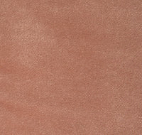 Robin Hood Close-up col. 024 Peach