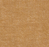 Col.018 Camel / Memo Sample