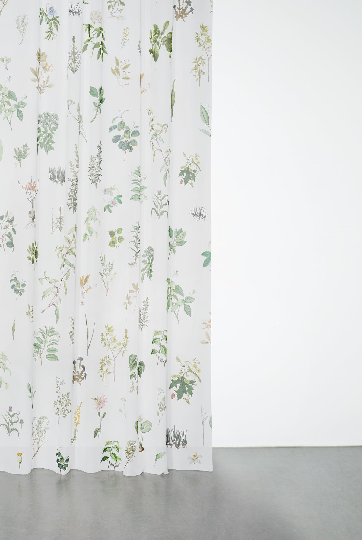 Georgette - Herbarium XL