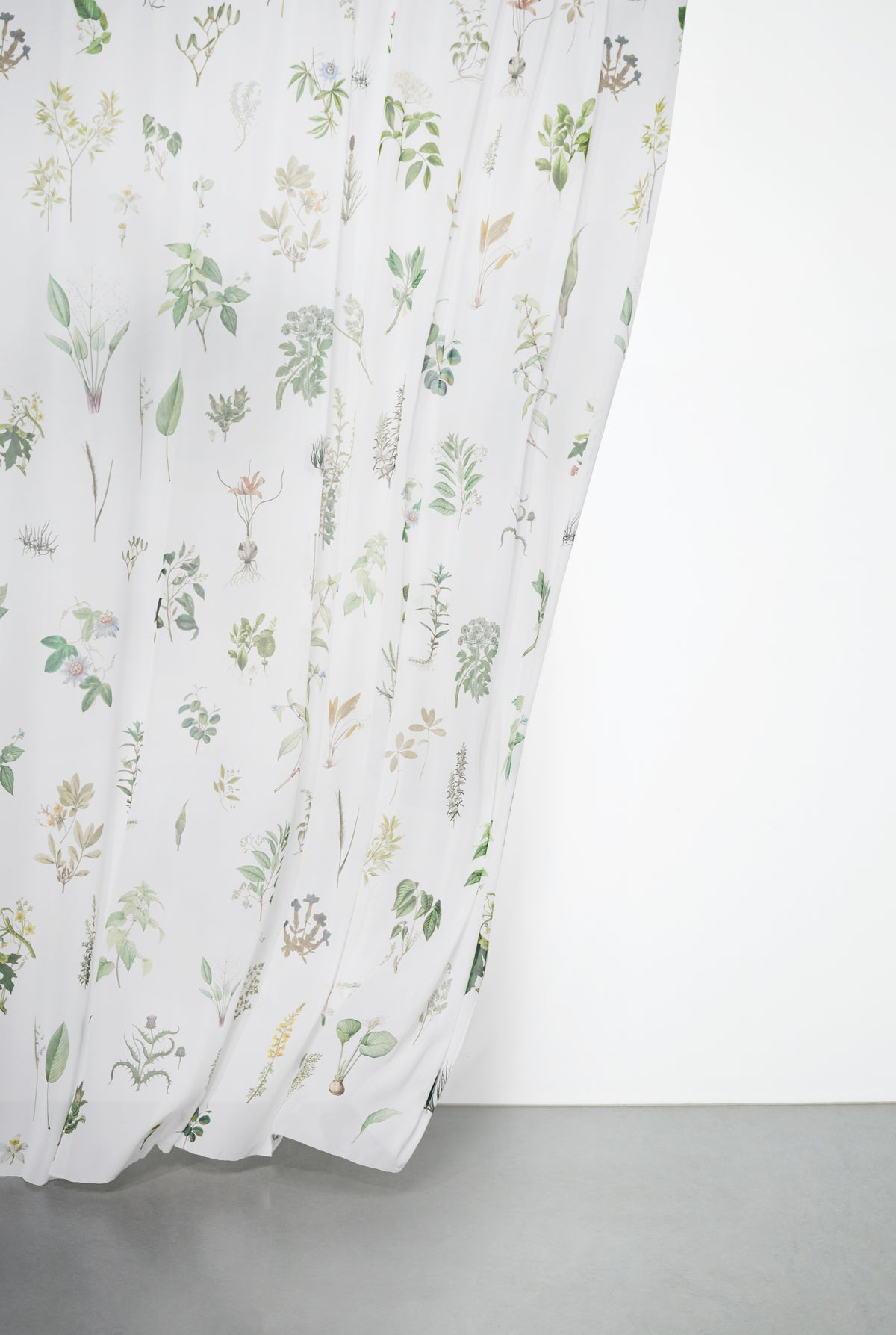 Georgette - Herbarium XL