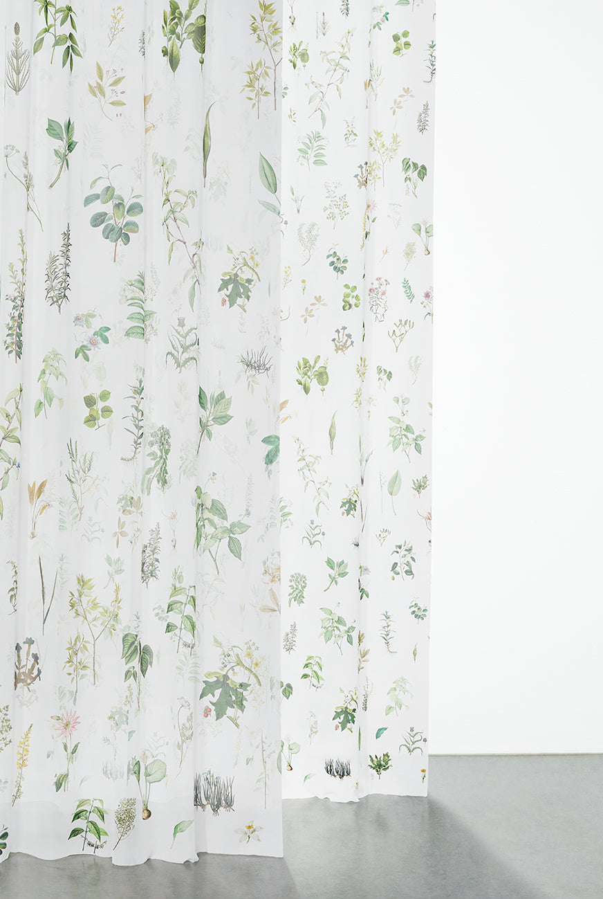Georgette - Herbarium XL
