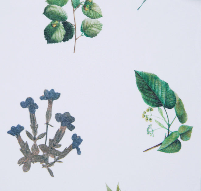 Georgette - Herbarium XS