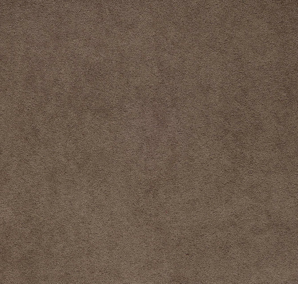 Newbuck Soft