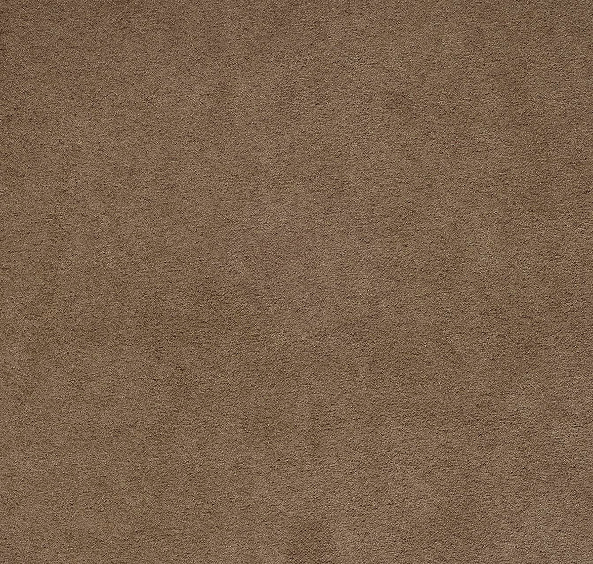 Newbuck Soft