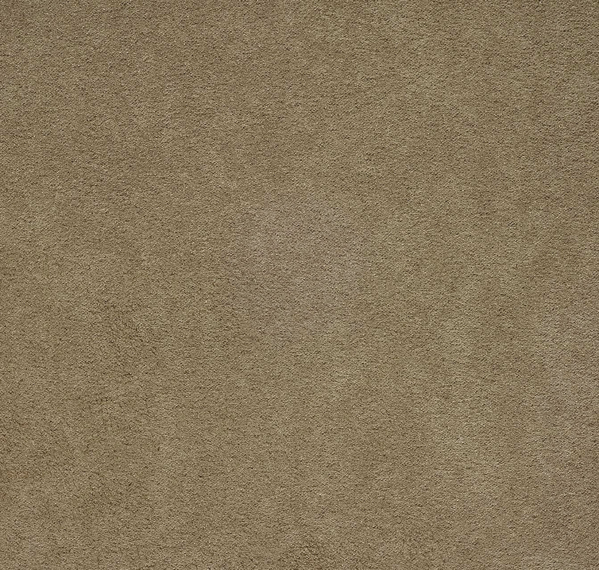 Newbuck Soft