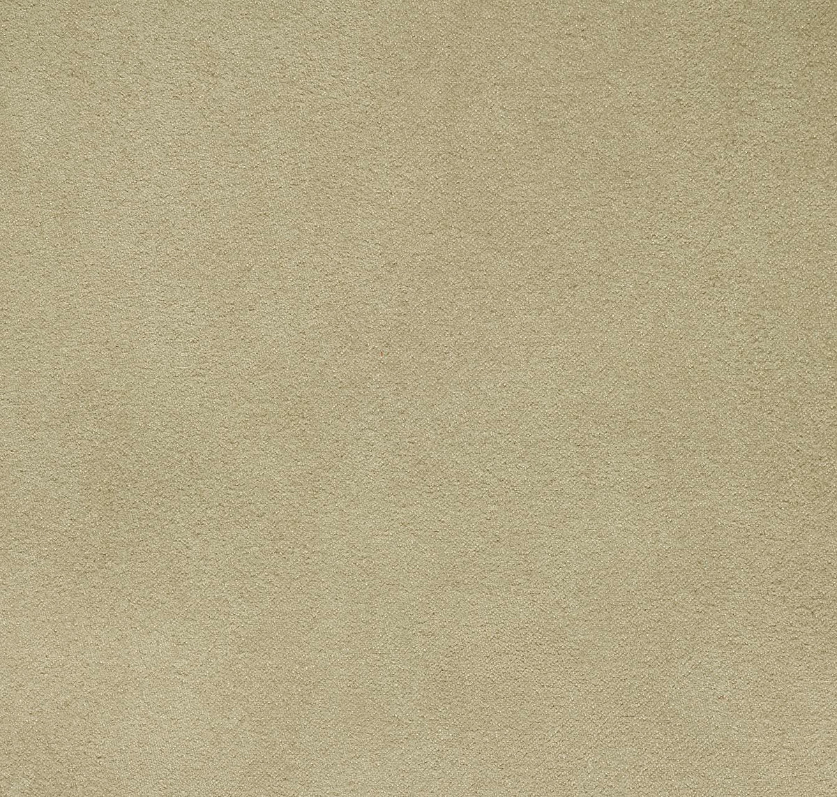 Newbuck Soft