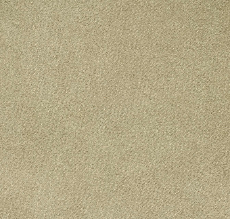 Newbuck Soft
