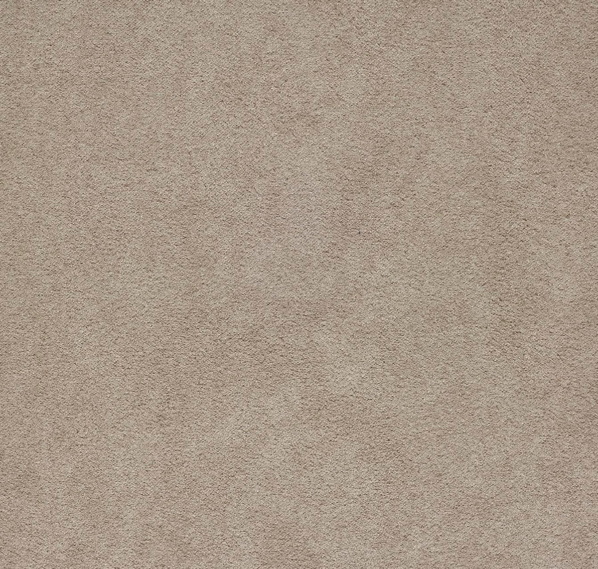 Newbuck Soft