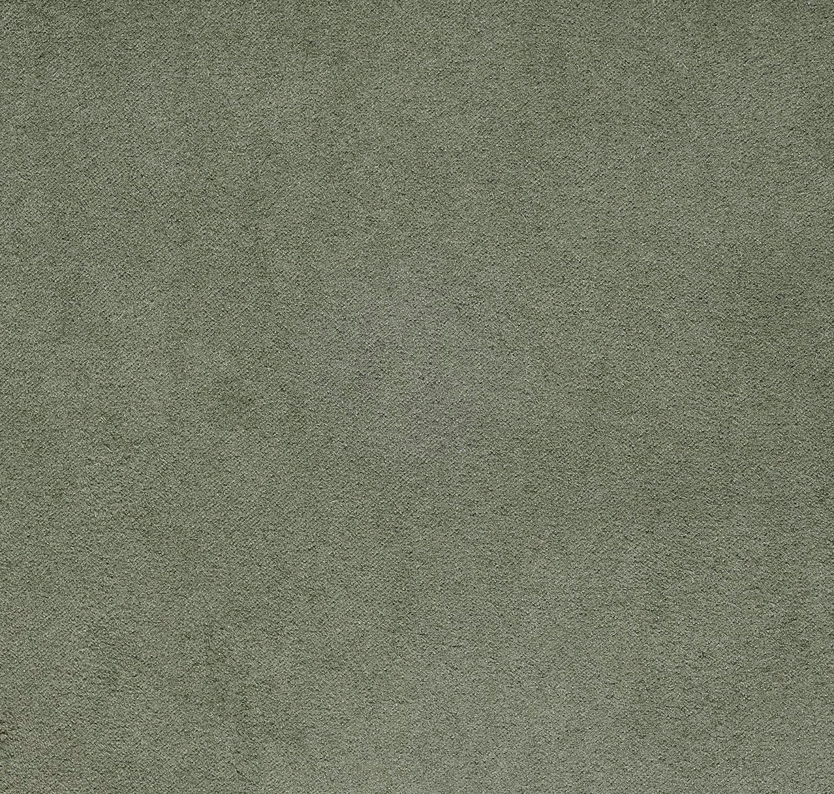 Newbuck Soft