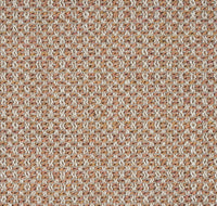 Col.008 Coral / Memo Sample