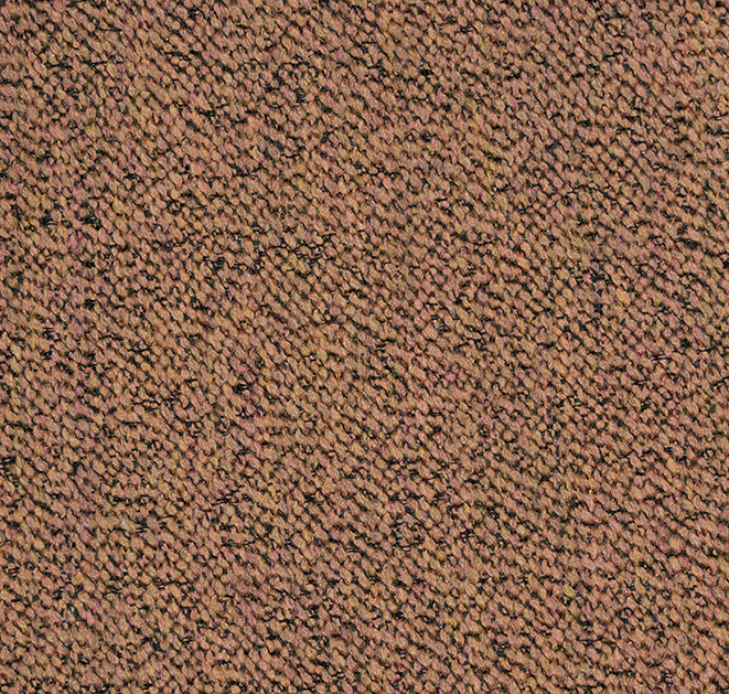 Solano