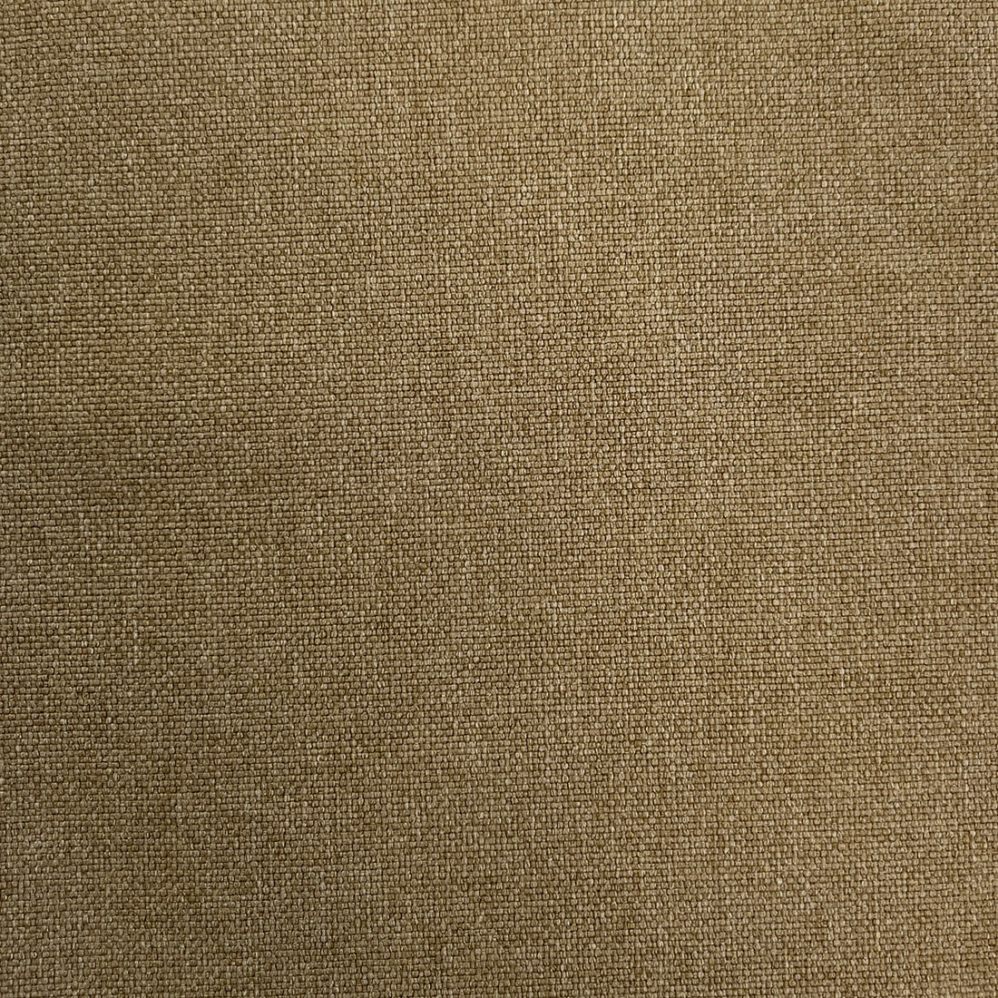 Woolly