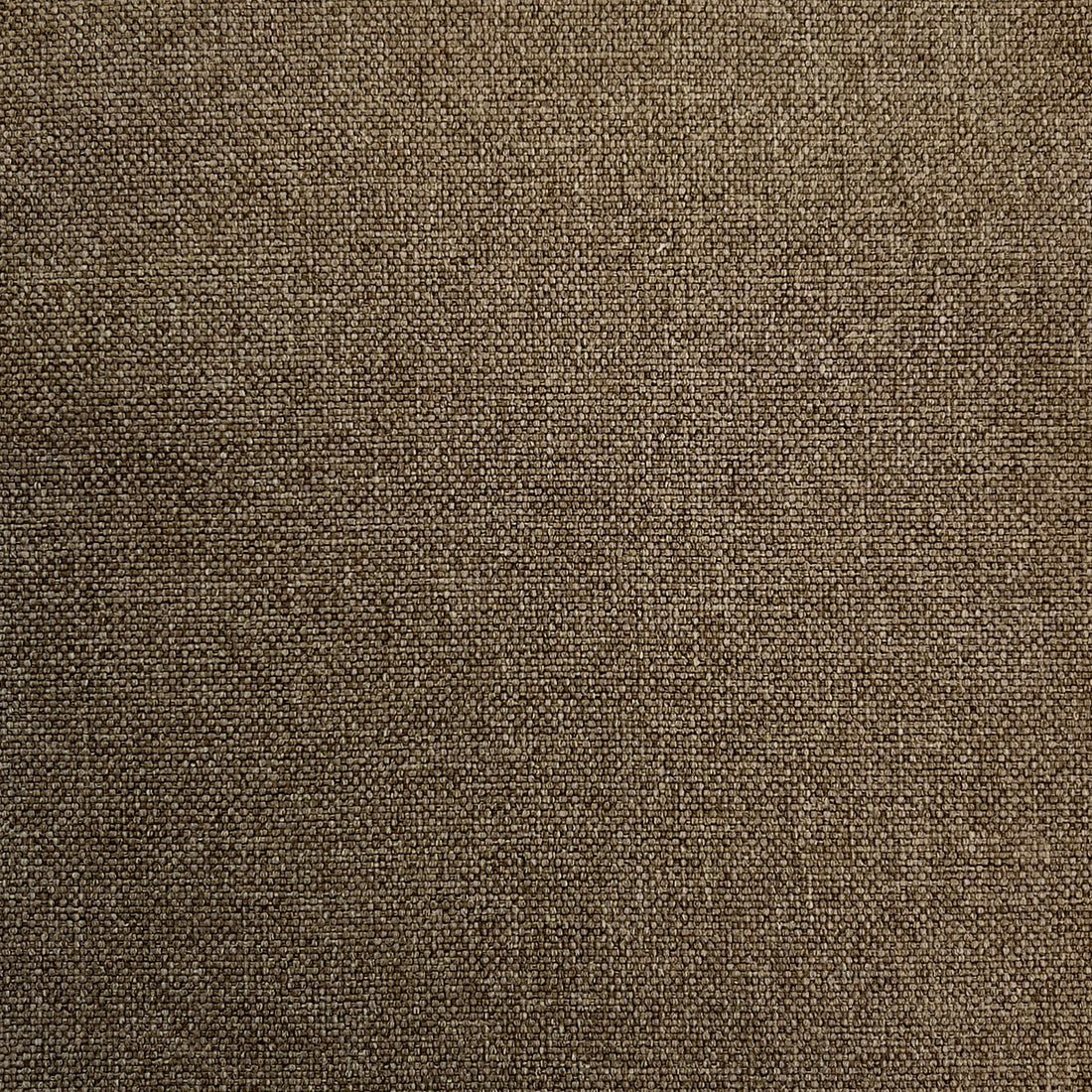 Woolly