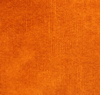 Col.13 Curry / Memo Sample