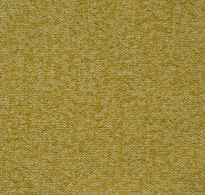 Pietro