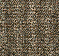Col.008 Bronze / Memo Sample