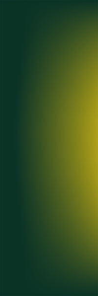 Col.01 Yellow & Green / Memo Sample