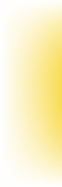 Col.01 Yellow & White / Memo Sample