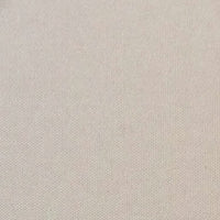 4s Beige z530