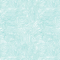 col. maldive / Memo Sample
