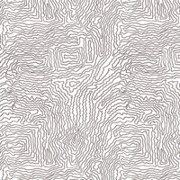 col. lava / Memo Sample