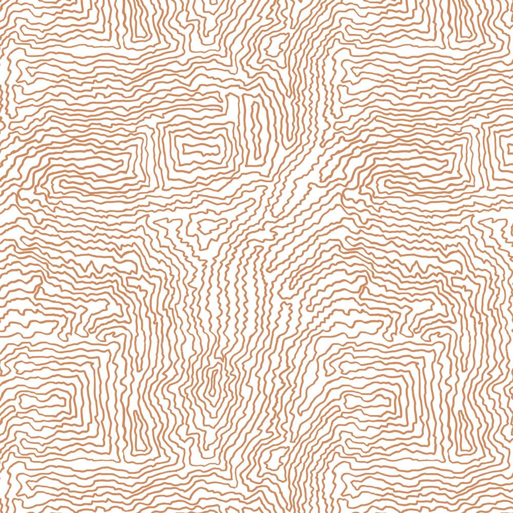 CoopDPS Wallpaper Earth