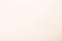Col.06 Miele / Memo Sample