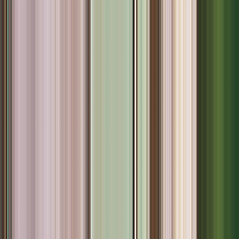 Stripe Tease Wallpaper Collection