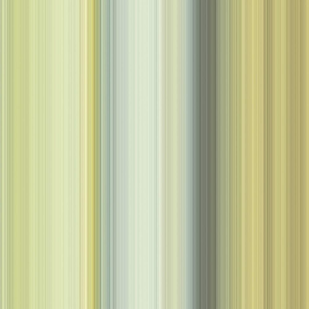 Stripe Tease Wallpaper Collection